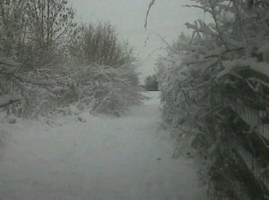 162736_475089711554_7622376_n